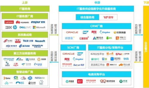 2024年中國IT服務行業研究報告 信息系統集成服務